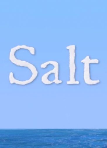 Salt (2014/RUS/ENG/Пиратка)