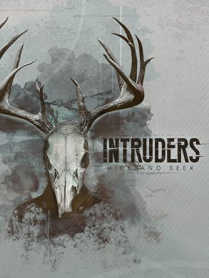 Intruders: Hide and Seek